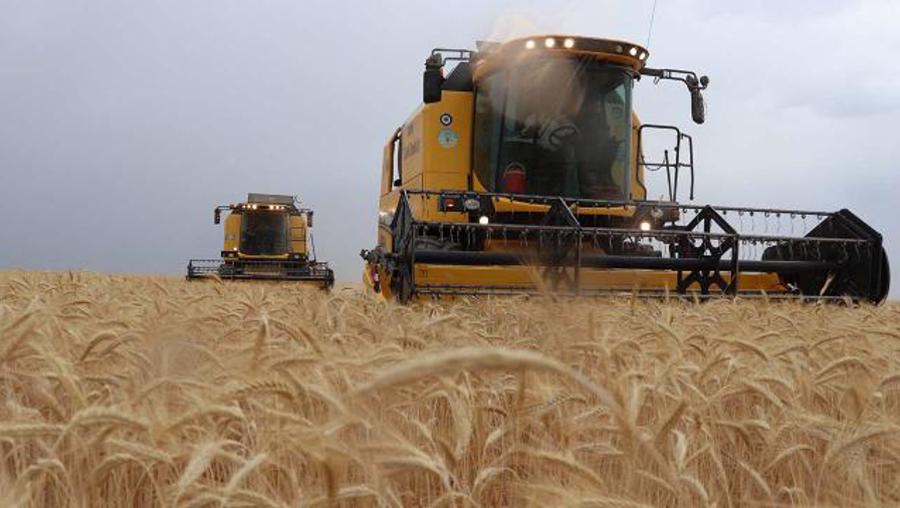 Tarım ÜFE haziranda aylık bazda yüzde 0,66 azaldı